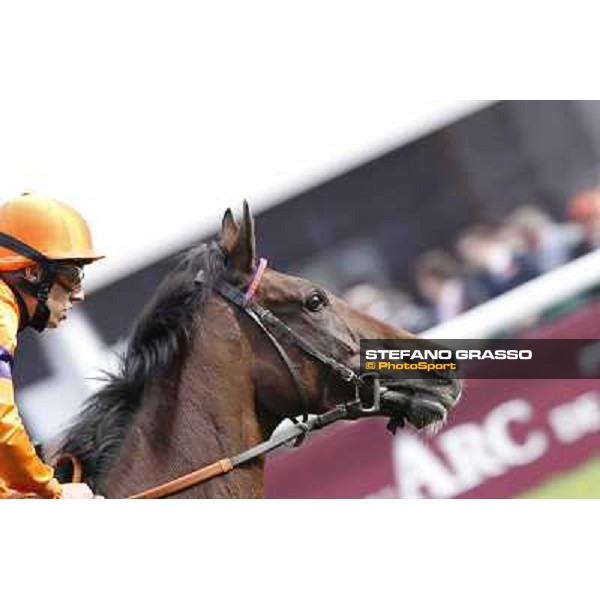 Paris - Longchamp racecourse - Cristian Demuro on Quiza Quiza Quiza returns home after the Prix de l\'Opera Longines Paris, 7th oct.2012 ph.Stefano Grasso