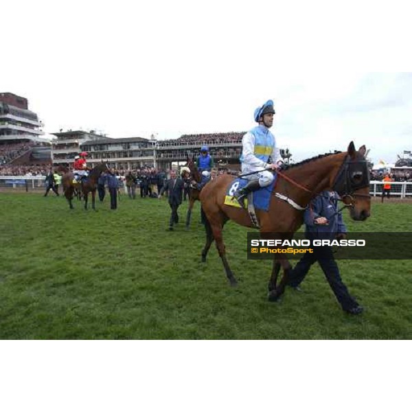 Connor O\'Dwyer and Hardy Estuace parading before the Smurfit Champion Hurdle Cheltenham - The Festival 1st day - 15th march 2005 ph. Stefano Grasso