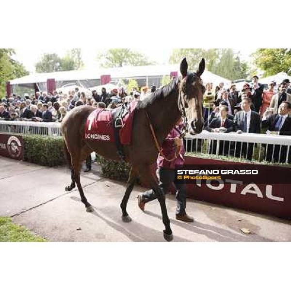 Paris - Longchamp racecourse Quiza Quiza Quiza parades before the Prix de l\'Opera Paris, 7th oct.2012 ph.Stefano Grasso
