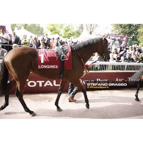 Paris - Longchamp racecourse Quiza Quiza Quiza parades before the Prix de l\'Opera Paris, 7th oct.2012 ph.Stefano Grasso