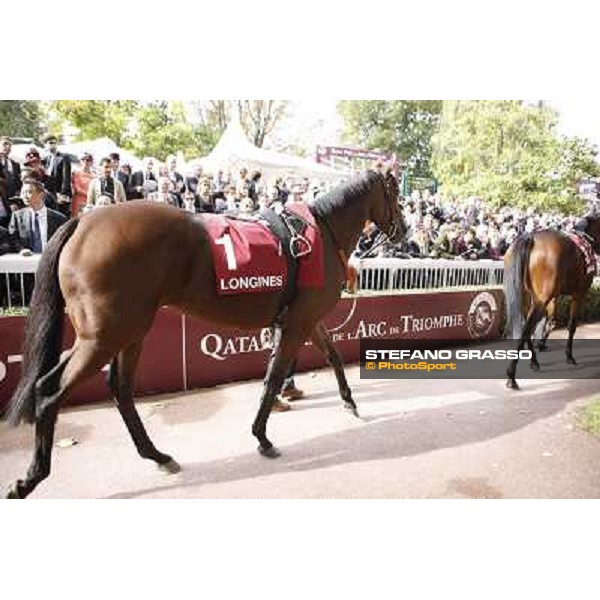 Paris - Longchamp racecourse Quiza Quiza Quiza parades before the Prix de l\'Opera Paris, 7th oct.2012 ph.Stefano Grasso