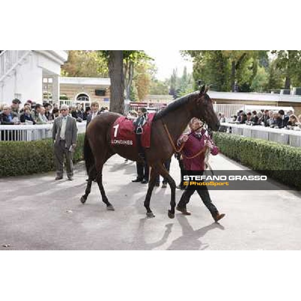 Paris - Longchamp racecourse Quiza Quiza Quiza parades before the Prix de l\'Opera Paris, 7th oct.2012 ph.Stefano Grasso