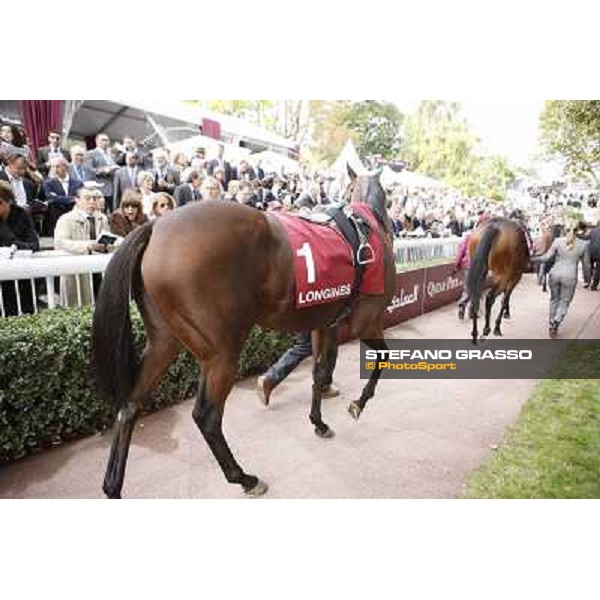 Paris - Longchamp racecourse Quiza Quiza Quiza parades before the Prix de l\'Opera Paris, 7th oct.2012 ph.Stefano Grasso
