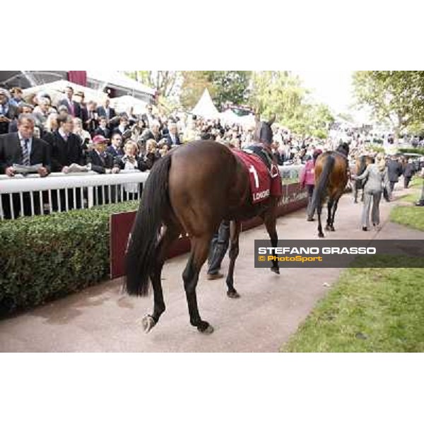 Paris - Longchamp racecourse Quiza Quiza Quiza parades before the Prix de l\'Opera Paris, 7th oct.2012 ph.Stefano Grasso