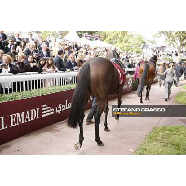 Paris - Longchamp racecourse Quiza Quiza Quiza parades before the Prix de l\'Opera Paris, 7th oct.2012 ph.Stefano Grasso