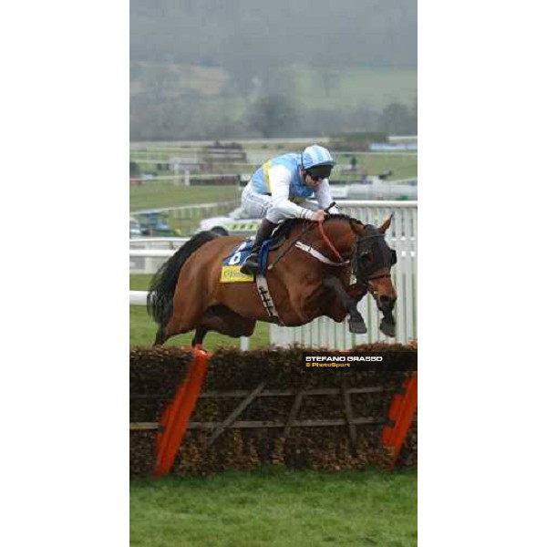 Hardy Eustace winner of The Smurfit Champion Hurdle Cheltenham, The Festival 1st day 15th march 2005 ph. Stefano Grasso