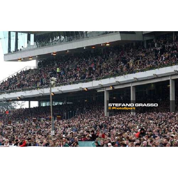teh crowd in the Grandstand Cheltenham, The Festival 1st day - 15th march 2005 ph. Stefano Grasso