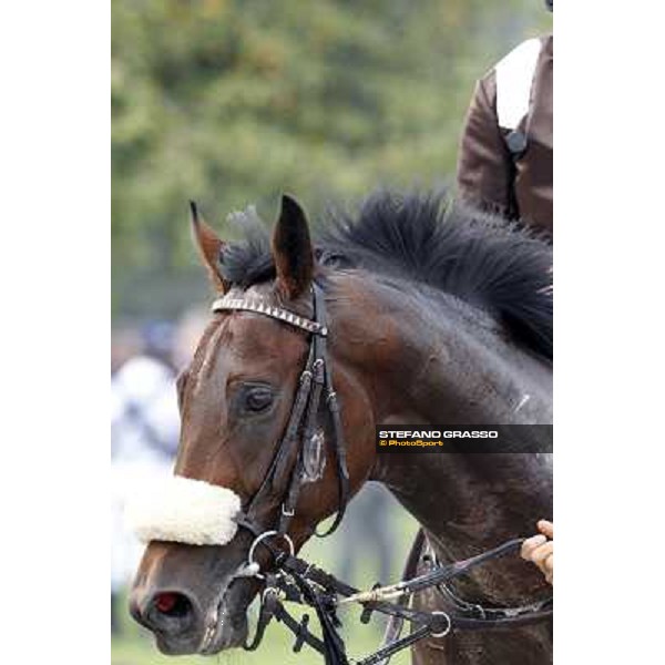 Peng Milano - San Siro racecourse, 13th oct.2012 ph.Stefano Grasso