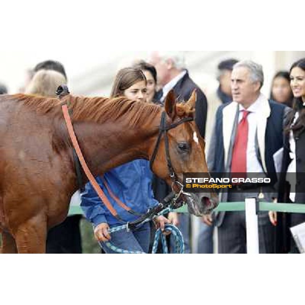 Flying Home and his groom after winning the race Milano - San Siro racecourse, 13th oct.2012 ph.Stefano Grasso