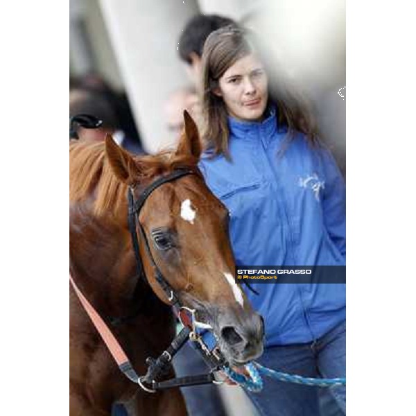 Flying Home and his groom after winning the race Milano - San Siro racecourse, 13th oct.2012 ph.Stefano Grasso
