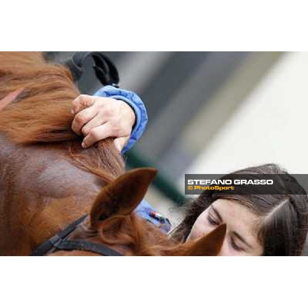 Flying Home and his groom after winning the race Milano - San Siro racecourse, 13th oct.2012 ph.Stefano Grasso