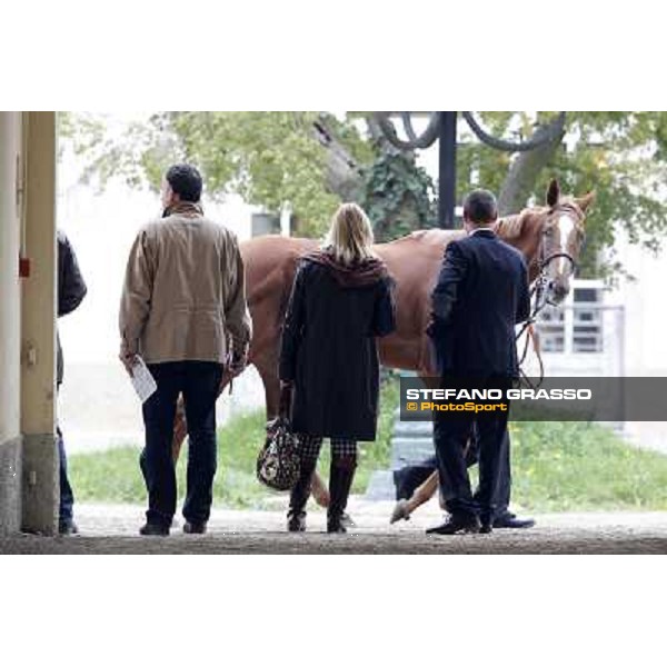 a horse parades before the race Milano - San Siro racecourse, 13th oct.2012 ph.Stefano Grasso