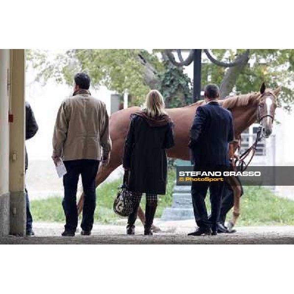 a horse parades before the race Milano - San Siro racecourse, 13th oct.2012 ph.Stefano Grasso