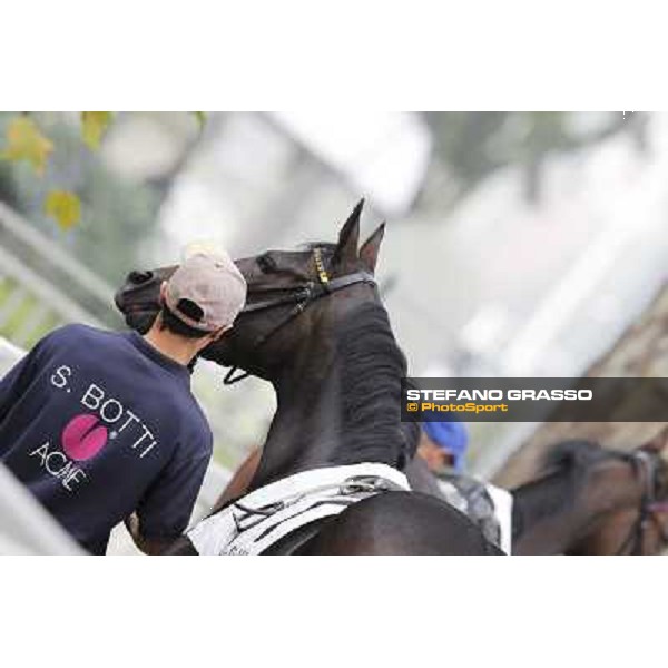 Aquila d\'Oriente Milano - San Siro racecourse, 13th oct.2012 ph.Stefano Grasso