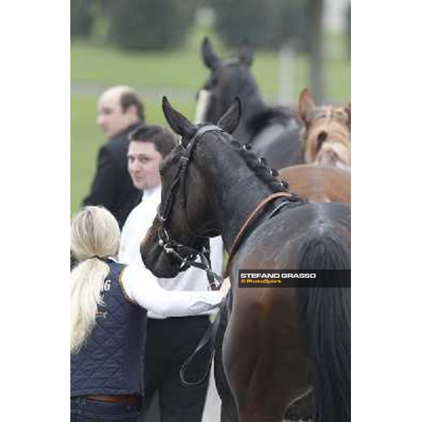 A portrait for Cartaya after winning the Premio Verziere Milano - San Siro racecourse, 13th oct.2012 ph.Stefano Grasso