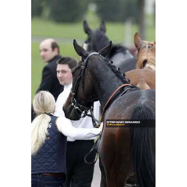 A portrait for Cartaya after winning the Premio Verziere Milano - San Siro racecourse, 13th oct.2012 ph.Stefano Grasso