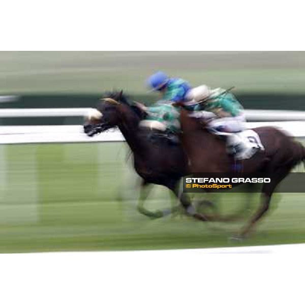 Racing Milano - San Siro racecourse, 13th oct.2012 ph.Stefano Grasso
