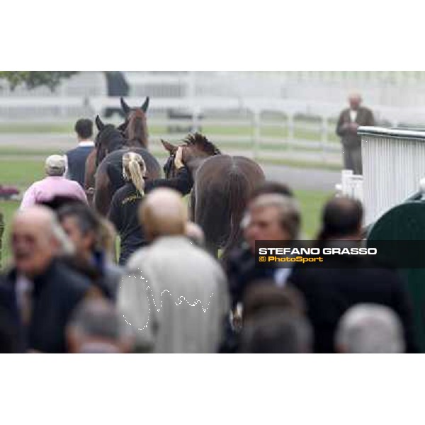 Horses away please ! Milano - San Siro racecourse, 13th oct.2012 ph.Stefano Grasso