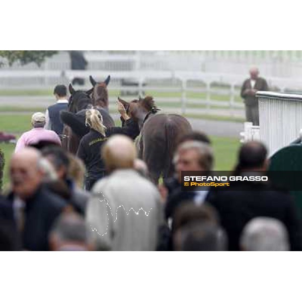 Horses away please ! Milano - San Siro racecourse, 13th oct.2012 ph.Stefano Grasso