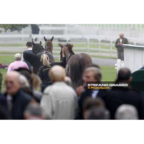 Horses away please ! Milano - San Siro racecourse, 13th oct.2012 ph.Stefano Grasso