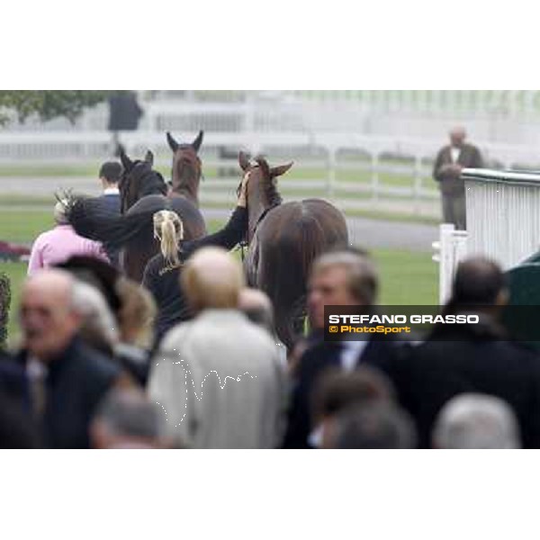 Horses away please ! Milano - San Siro racecourse, 13th oct.2012 ph.Stefano Grasso