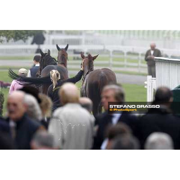 Horses away please ! Milano - San Siro racecourse, 13th oct.2012 ph.Stefano Grasso