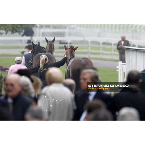 Horses away please ! Milano - San Siro racecourse, 13th oct.2012 ph.Stefano Grasso