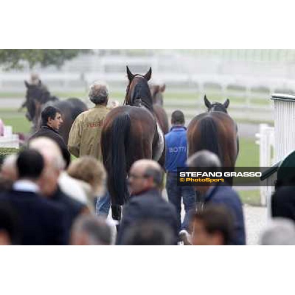Horses away please ! Milano - San Siro racecourse, 13th oct.2012 ph.Stefano Grasso