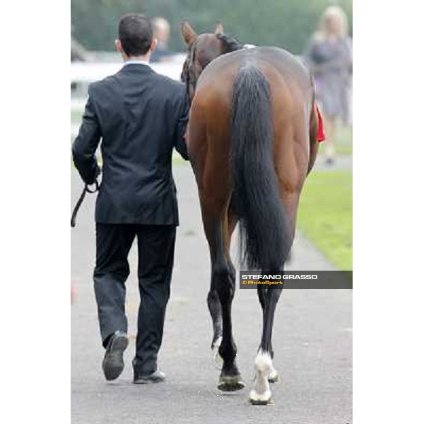 Pearl Flute parades before the Gran Criterium Milano - San Siro racecourse, 13th oct.2012 ph.Stefano Grasso