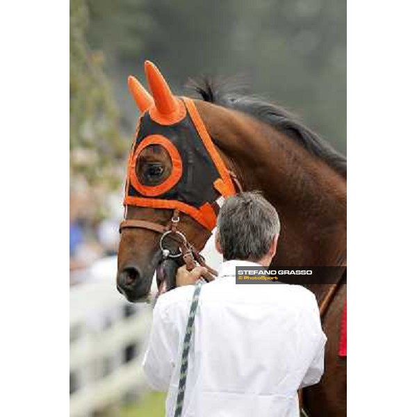 Castello Aragonese Milano - San Siro racecourse, 13th oct.2012 ph.Stefano Grasso