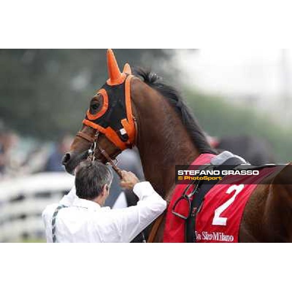 Castello Aragonese Milano - San Siro racecourse, 13th oct.2012 ph.Stefano Grasso