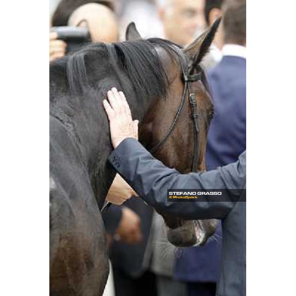 a close up for Law Enforcement after winning the Premio Gran Criterium - Milano - San Siro racecourse, 13th oct.2012 ph.Stefano Grasso