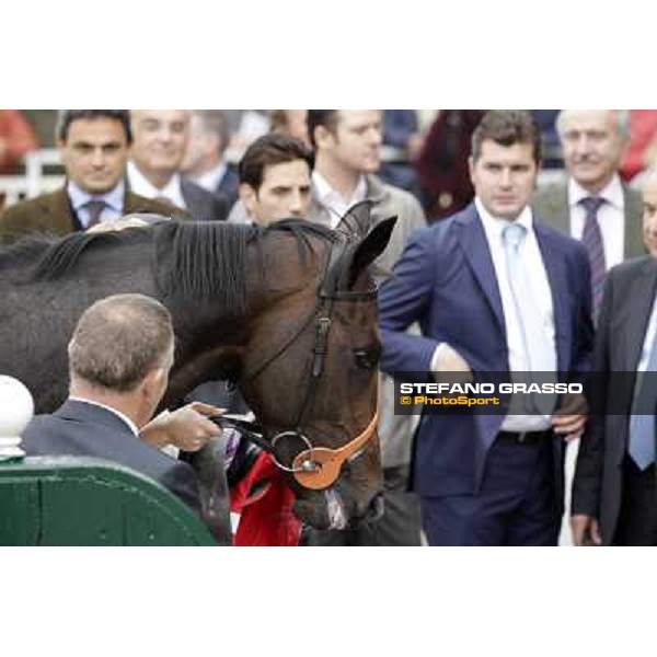 Law Enforcement parades after winning the Gran Criterium Milano - San Siro racecourse, 13th oct.2012 ph.Stefano Grasso