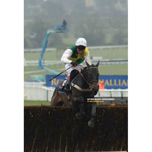 Trabolgan on the last hurdle of The Royal \' Sunalliance Novice\'s Hurdle Race Cheltenham, 2nd day , 16th march 2005 ph. Stefano Grasso