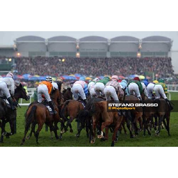 Cheltenham - The Festival 2nd day Cheltenham, 16th march 2005 ph. Stefano Grasso