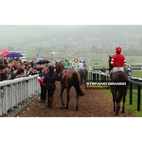 Ruby Walsh on Missed That (right) comes back home after the finish of the Weatherbys Champion Bunper Cheltenham, 16th march 2005 ph. Stefano Grasso