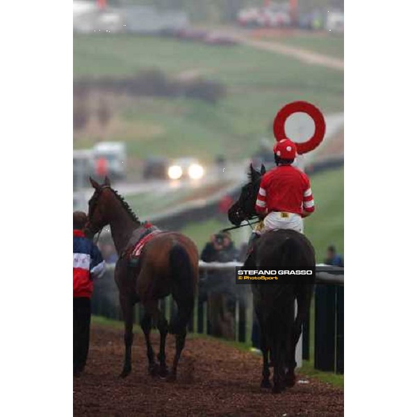 Ruby Walsh on Missed That come back home after the victory in the Weatherbys Champion Bunper Cheltenham, 16th march 2005 ph. Stefano Grasso