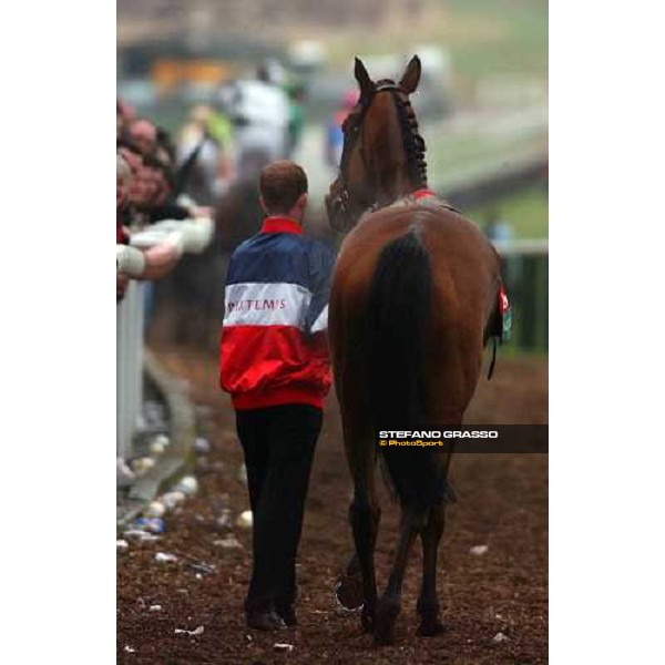 coming back home Cheltenham, 16th march 2005 ph. Stefano Grasso