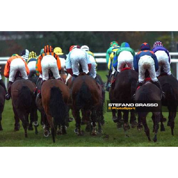 runners of the Weatherbys Champion Bunper ,at the first bend Cheltenham, 16th march 2005 ph. Stefano Grasso
