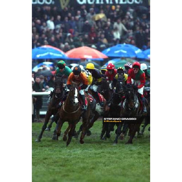 the runners of the Weatherbys Champion Bunper at teh first bend Cheltenham, 16th march 2005 ph. Stefano Grasso