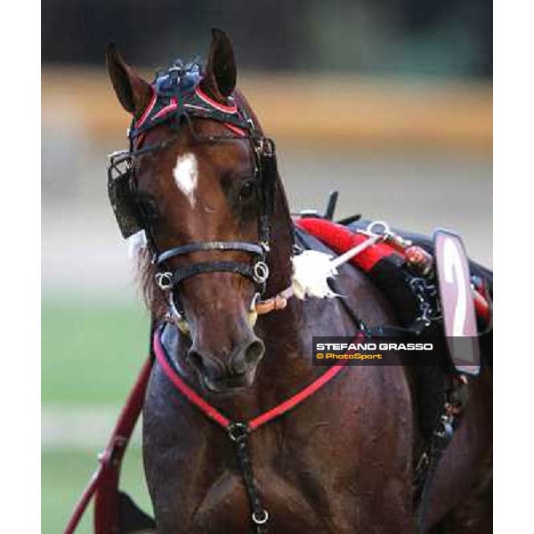 Tommaso di Lorenzo and Looney Tunes wint the Gran Premio Freccia d\'Europa Rome-Tordivalle racecourse,27th oct.2012 ph.Stefano Grasso