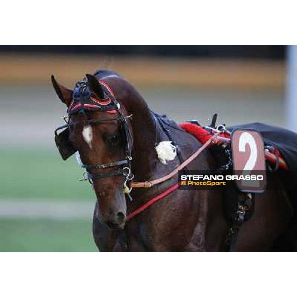 Tommaso di Lorenzo and Looney Tunes wint the Gran Premio Freccia d\'Europa Rome-Tordivalle racecourse,27th oct.2012 ph.Stefano Grasso