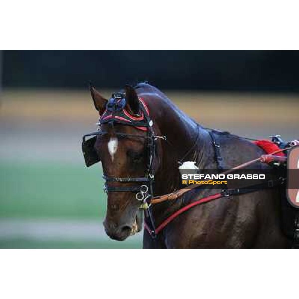 Tommaso di Lorenzo and Looney Tunes wint the Gran Premio Freccia d\'Europa Rome-Tordivalle racecourse,27th oct.2012 ph.Stefano Grasso