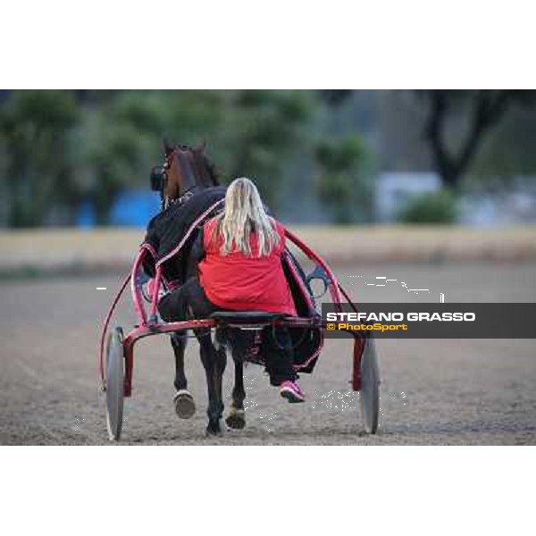 Tommaso di Lorenzo and Looney Tunes wint the Gran Premio Freccia d\'Europa Rome-Tordivalle racecourse,27th oct.2012 ph.Stefano Grasso