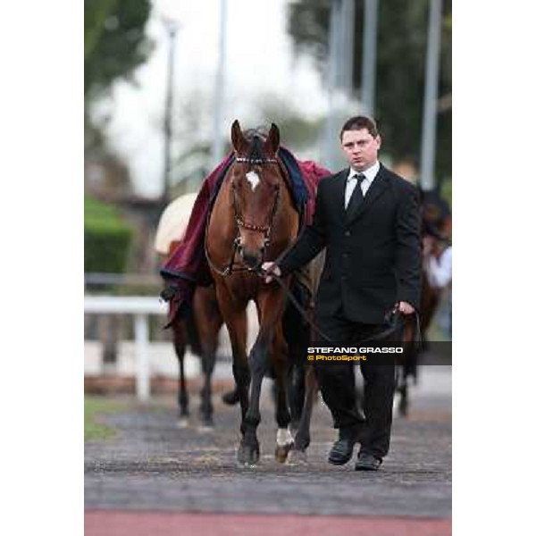 Sortilege parades before winning the Gran Premio Longines Lydia Tesio Rome, Capannelle racecourse 28th october 2012 ph.Stefano Grasso