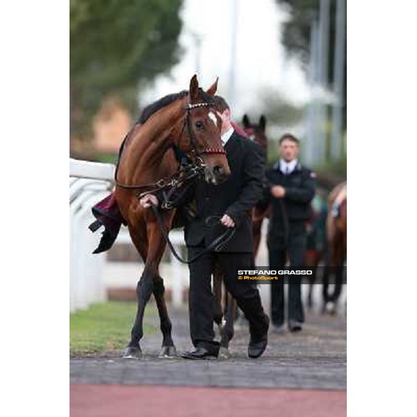 Sortilege parades before winning the Gran Premio Longines Lydia Tesio Rome, Capannelle racecourse 28th october 2012 ph.Stefano Grasso