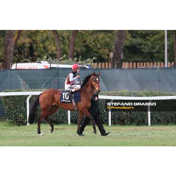 Andrea Atzeni on Sortilege goes to the start of the Gran Premio Longines Lydia Tesio Rome, Capannelle racecourse 28th october 2012 ph.Stefano Grasso