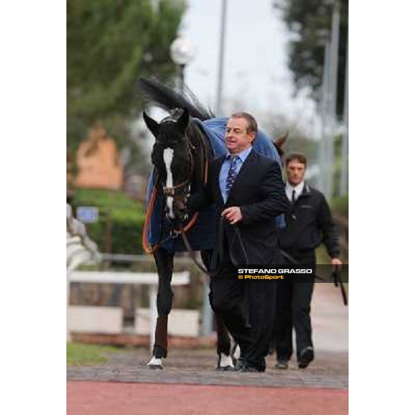 Nova Hawk parades before the Premio Longines Lydia Tesio Roma - Capannelle racecourse,28th oct.2012 ph.Stefano Grasso