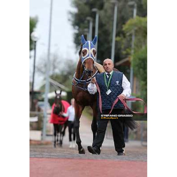 Oeuvre d\'Art parades before the Premio Longines Lydia Tesio Roma - Capannelle racecourse,28th oct.2012 ph.Stefano Grasso