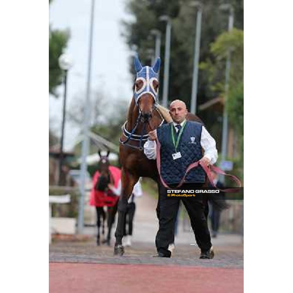 Oeuvre d\'Art parades before the Premio Longines Lydia Tesio Roma - Capannelle racecourse,28th oct.2012 ph.Stefano Grasso